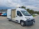 fiat-ducato-furgonato-frigorifero-trasporto-carne