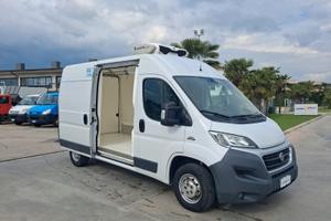 Fiat Ducato Furgonato Frigorifero Trasporto CARNE