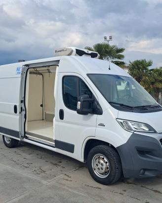 Fiat Ducato Furgonato Frigorifero Trasporto CARNE