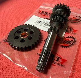 Cambio DRT Malaguti Fifty