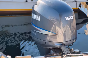 Sessa dorado 22