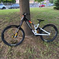 Telaio Specialized demo 2025