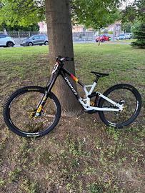 Telaio Specialized demo 2025