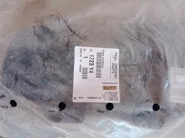 copertura FAP Peugeot 207 diesel