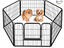 Immagine 1