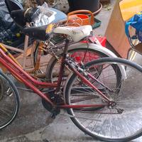 bici da donna 
