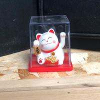 Gatto che invita Maneki-neko