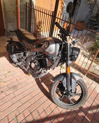 Benelli Leoncino 125 (2024)