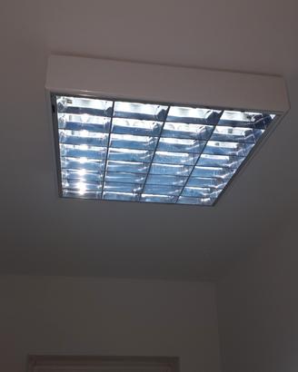 luce al neon grande 