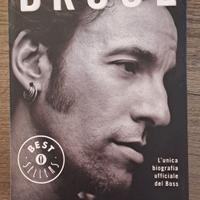 Libro Bruce Springsteen