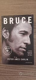 Libro Bruce Springsteen
