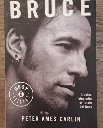 Libro Bruce Springsteen