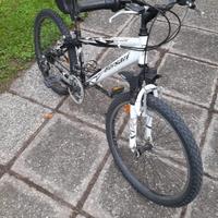 Bicicletta da ragazzo