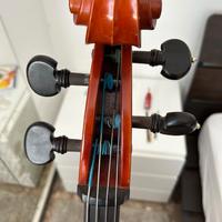 Violoncello