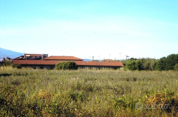 Terreno agricolo di 10000 mq