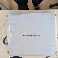 SPIDER FARMER SF1000 Lampada da Coltivazione 