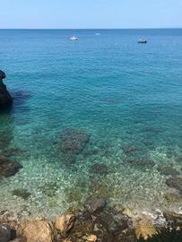 Agosto last minute cavalca i sogni Rutino amore 