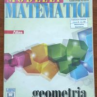 9788826816425 modelli matematici geometria