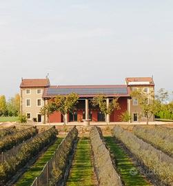 Residenza Agrituristica all'Olmo