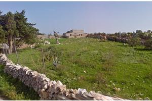 Terreno e Complesso rurale