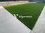 Immagine 7