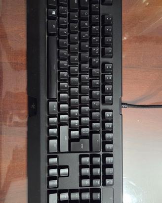 tastiera razer blackwidow chorma v2