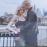 gigantografia in forex