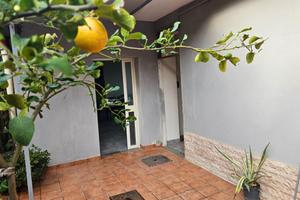 Appartamento con terrazzo