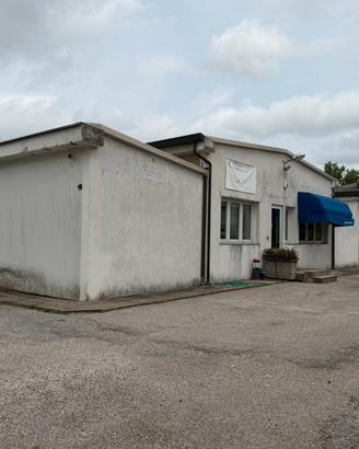 Capannone con uffici,magazzini,piazzale e terreno