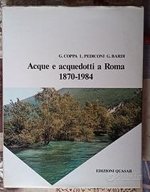 Acque e acquedotti a Roma 1870-1984 edizioni Quasa