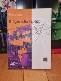 il ragno sotto il soffitto Marco Liber kairos
