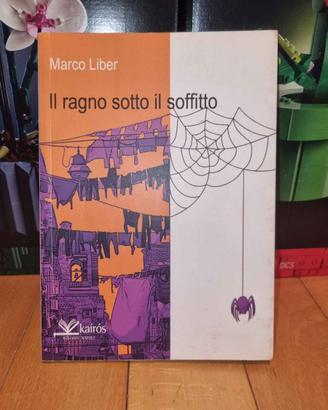 il ragno sotto il soffitto Marco Liber kairos