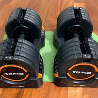 Manubri regolabili Taurus Sport (4,5 kg / 22,5 kg)