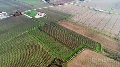 Azienda Agricola a Mortegliano