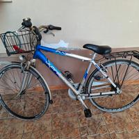 bicicletta da uomo