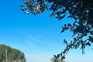 Zona l'Abbiu privacy e vista mare da sogno