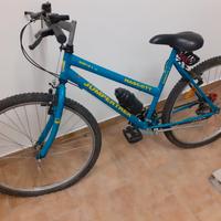 Bicicletta blu