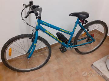 Bicicletta blu