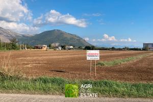 Terreno 2,5 ettari con pozzo fronte strada | TR296