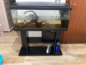 Acquario
