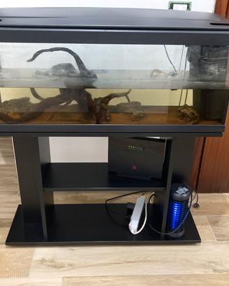 Acquario