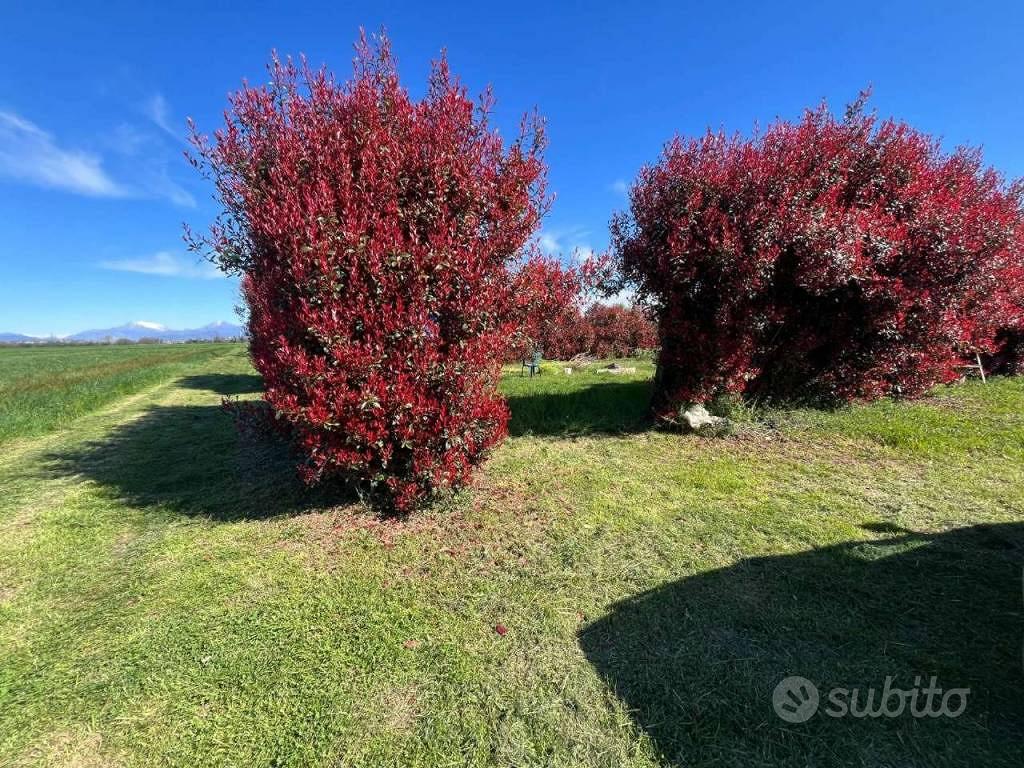 Terreno di 600 m² a Vaprio d'Adda - Vista 2