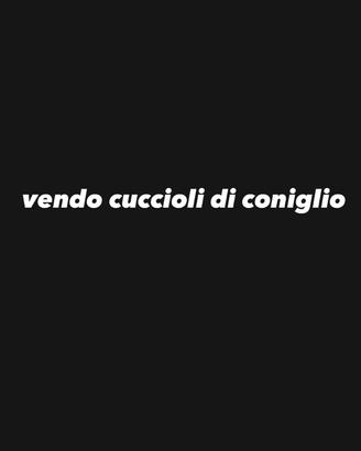 Cuccioli di coniglio