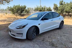 Tesla Model 3 AWD Long Range Dual Motor 2021