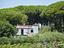 Immagine 22