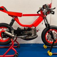 Moped bravo piaggio cnm pista