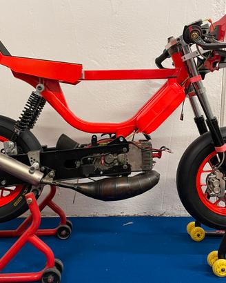 Moped bravo piaggio cnm pista