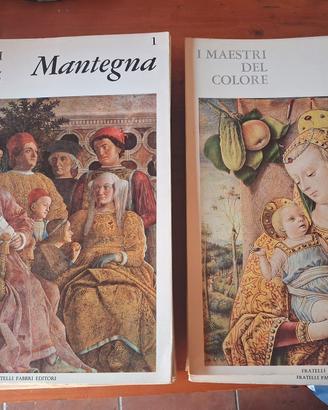 lotto I maestri del colore