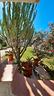 villa-in-zona-plemmirio
