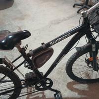 Biciclette elettriche